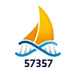 43